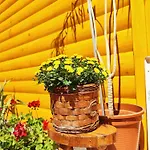 Nizama's Place