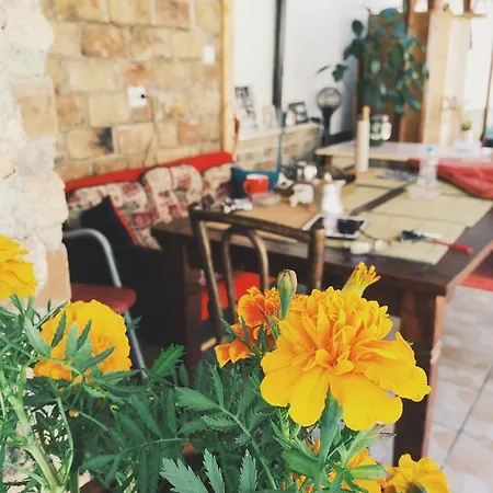 Nizama's Place