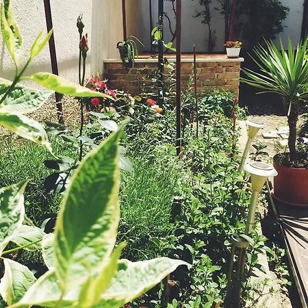 בית הארחה Nizama's Place