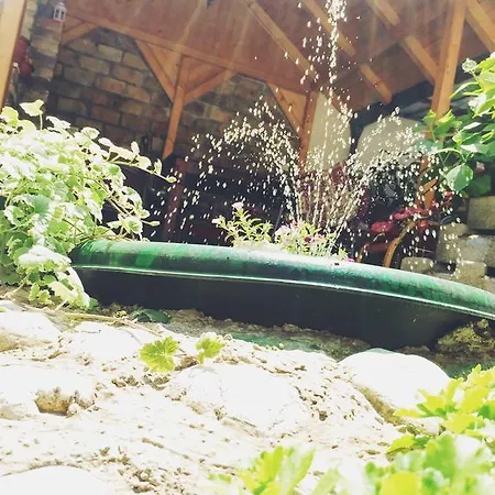 Affittacamere Nizama's Place