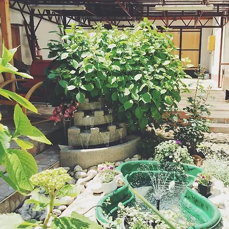 בית הארחה Nizama's Place סראייבו