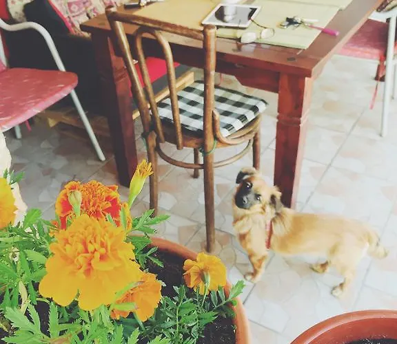 Guest house Nizama's Place Sarajevo